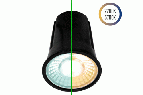 LED-Spot 24V, MR16, 7W, 2200K/5700K, CRI90 (Tuneable White, CCT)