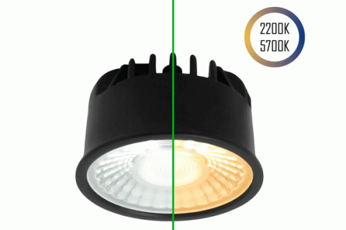 LED-Spot 24V, MR16, 5W, 2200K/5700K, CRI90 (Tuneable White, CCT)